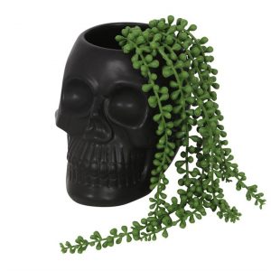 Black Skull Plant Pot 2