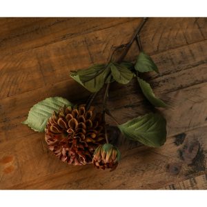 Deep Mustard Dahlia Stem 2