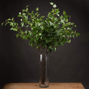 Green Branch Spray 5