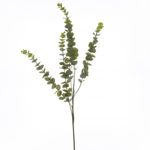 Gunnii Eucalyptus Spray 2