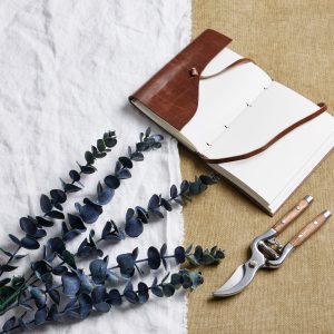 Large Blue Eucalyptus Stem 4