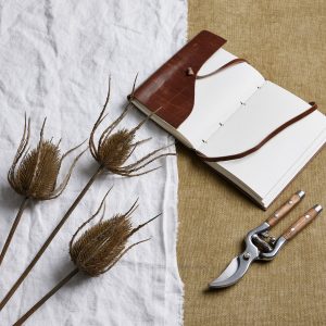 Large Brown Triple Teasle Stem 4
