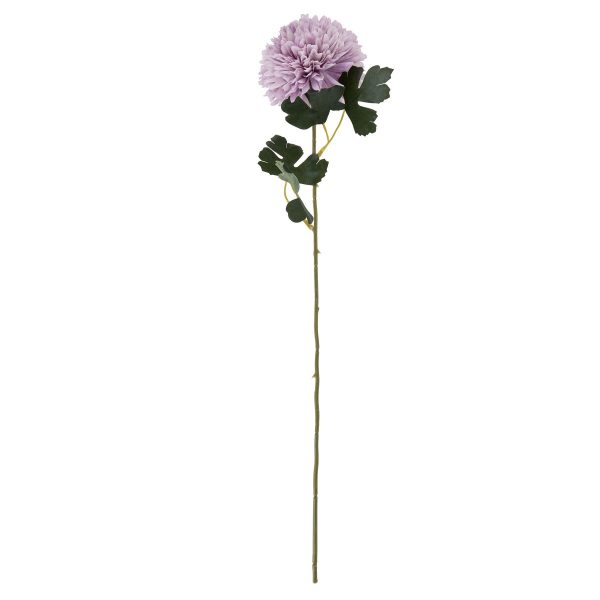 Light Purple Chrysanthemum 2