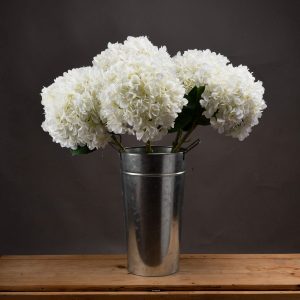 Oversized White Hydrangea 5