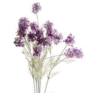 Purple Meadow Flower 2