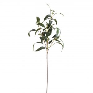 Seeded Eucalyptus Spray 3