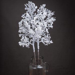Snowy Branch 5