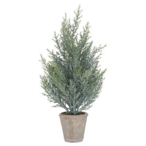 Squat Christmas Fir Tree In Stone Pot 2