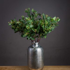 Summer Seeded Eucalyptus 4