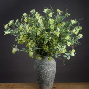Sweet Pea Trail 5