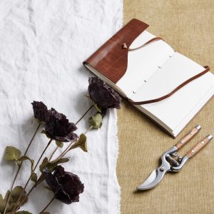 Tall Black Poppy Stem 4