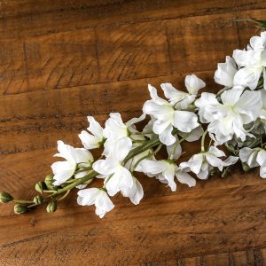 Tall White Delphinium Stem 4