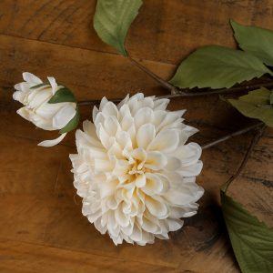 White Dahlia Stem 5
