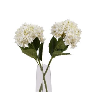 White Hydrangea Stem 5