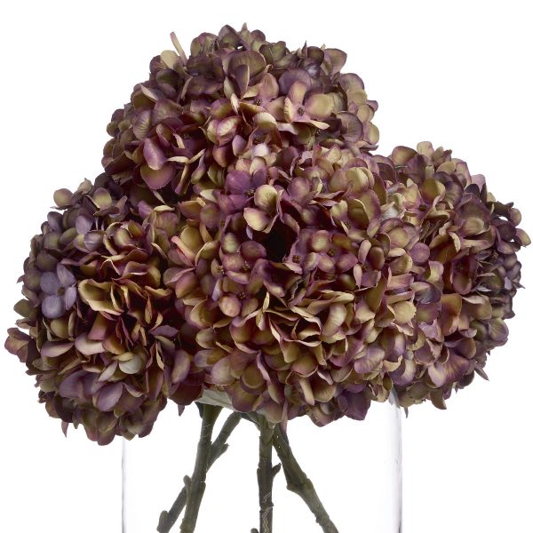 Autumn Burgundy Hydrangea 2