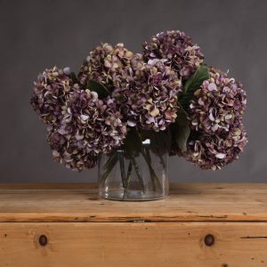 Autumn Burgundy Hydrangea 5