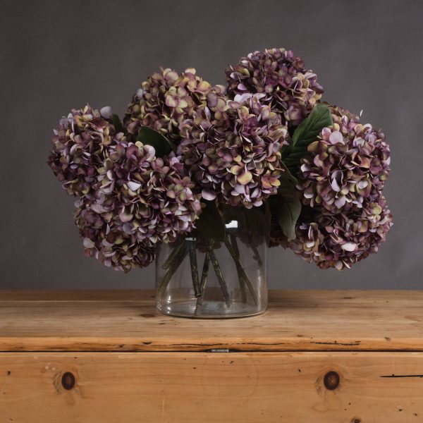 Autumn Burgundy Hydrangea 5