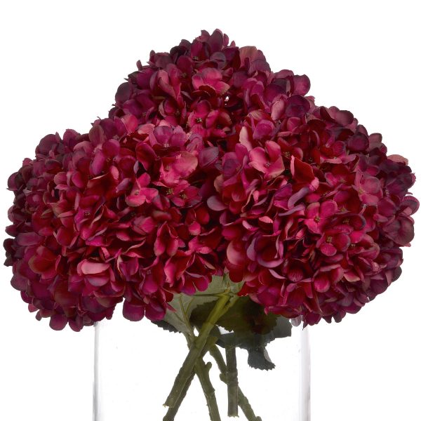 Autumn Ruby Hydrangea 2