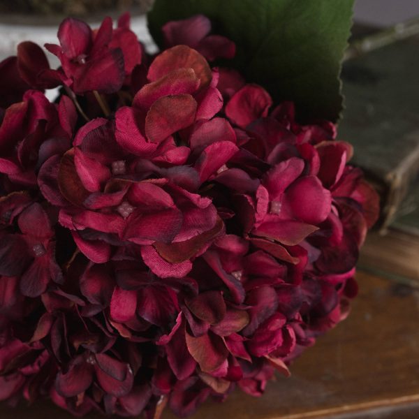 Autumn Ruby Hydrangea 3