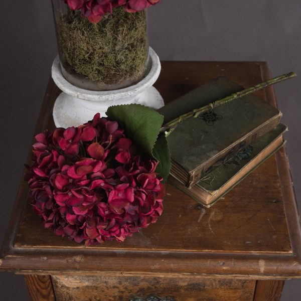 Autumn Ruby Hydrangea 4