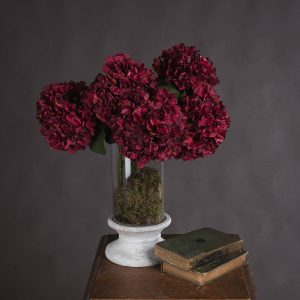 Autumn Ruby Hydrangea 5