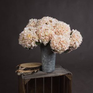 Autumn White Hydrangea 5