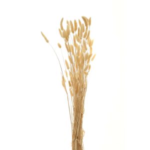 Bouquet Of Tall Bunny Tails 4