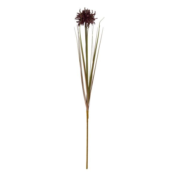 Burgundy Aster Spider Chrysanthemum Stem 2