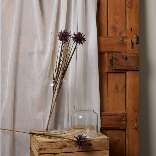 Burgundy Aster Spider Chrysanthemum Stem 3
