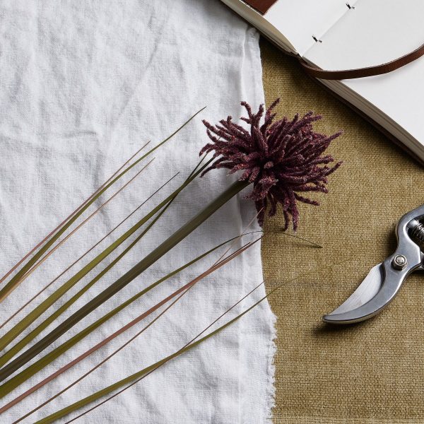 Burgundy Aster Spider Chrysanthemum Stem 4