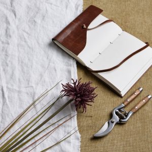 Burgundy Aster Spider Chrysanthemum Stem 5
