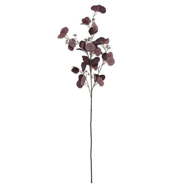 Burgundy Berried Eucalyptus 2