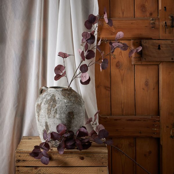 Burgundy Berried Eucalyptus 3