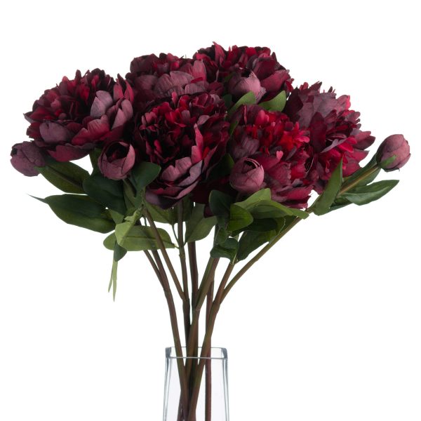 Burgundy Peony Rose 3