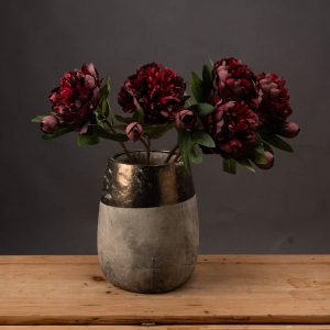 Burgundy Peony Rose 5
