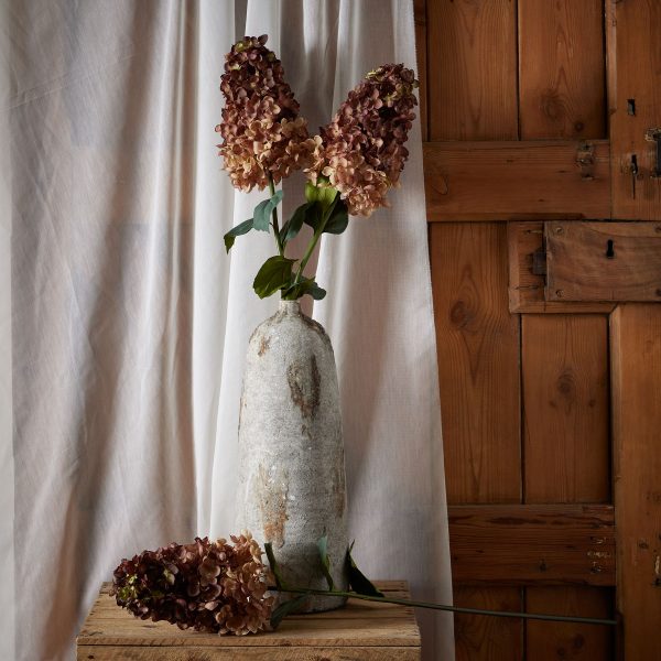 Burgundy Spear Hydrangea 3