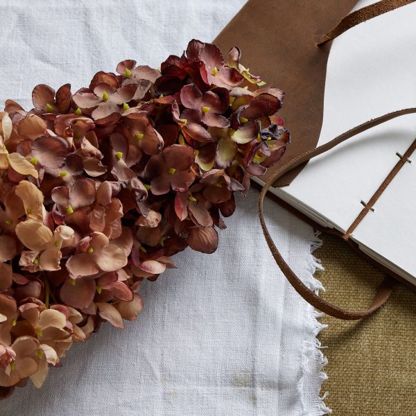 Burgundy Spear Hydrangea 4