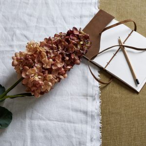 Burgundy Spear Hydrangea 5