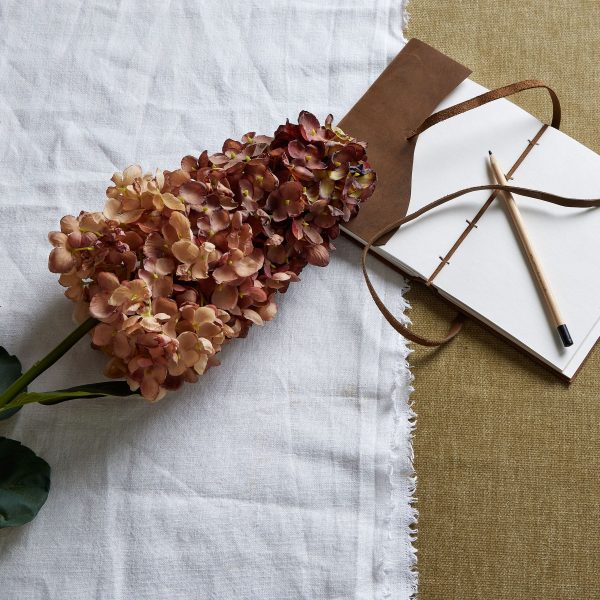 Burgundy Spear Hydrangea 5