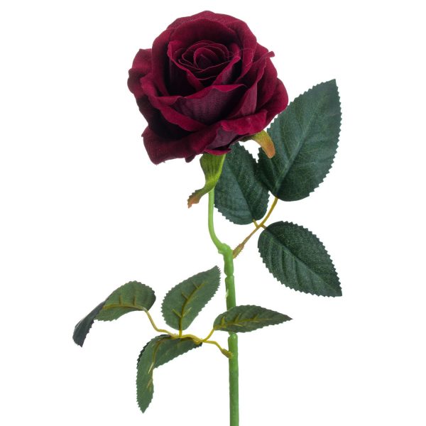 Deep Red Rose 2