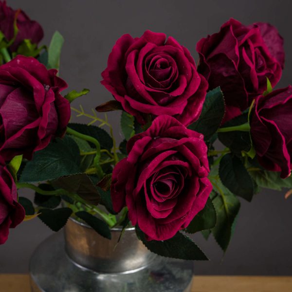 Deep Red Rose 3
