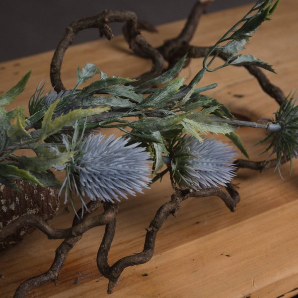 Eryngium Thistle 3
