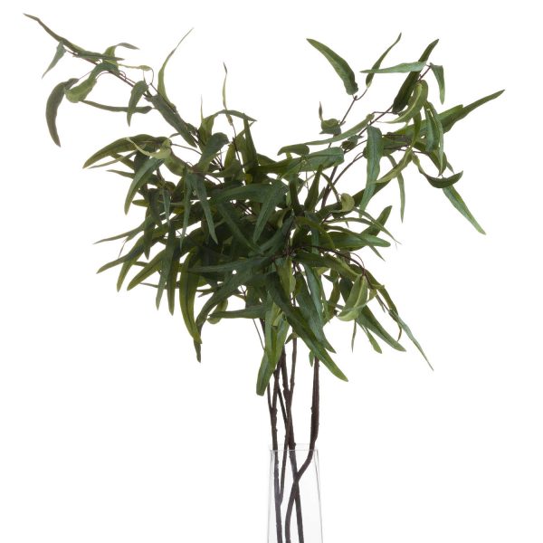Eucalyptus Nicholii Spray 3