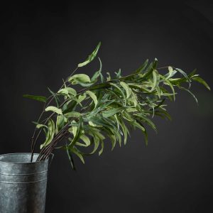 Eucalyptus Nicholii Spray 5