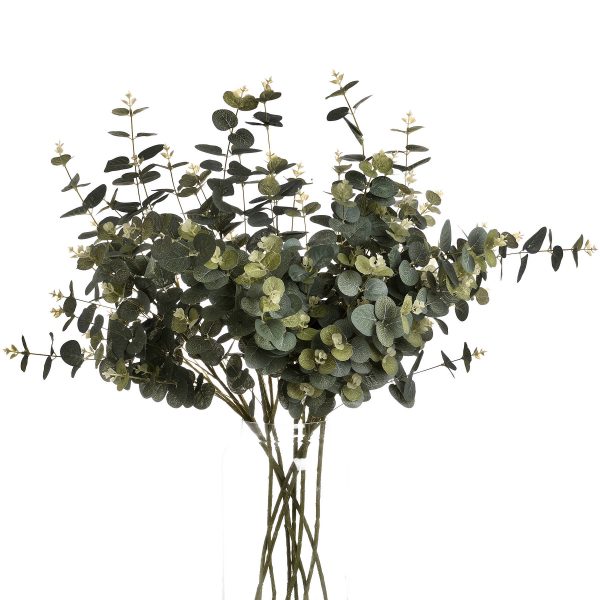 Eucalyptus Spray 2