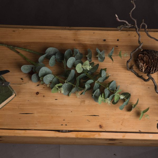 Eucalyptus Spray 4