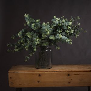 Eucalyptus Spray 5