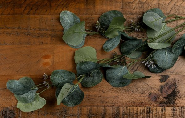 Eucalyptus Stem Spray 2