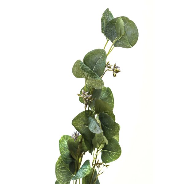Eucalyptus Stem Spray 3
