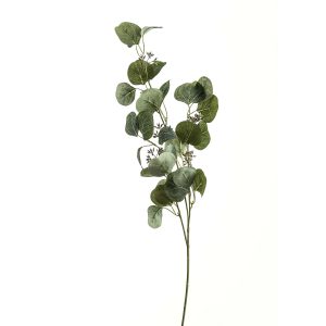 Eucalyptus Stem Spray 4